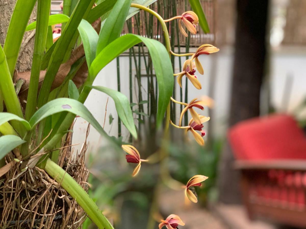 Petit Villa Boutique & Spa Siem Reap Buitenkant foto