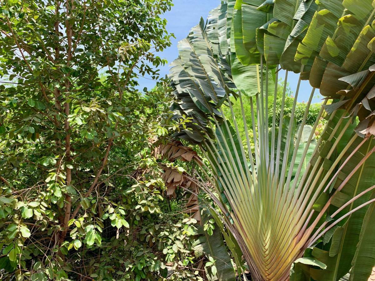 Petit Villa Boutique & Spa Siem Reap Buitenkant foto